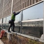야생 조류 충돌방지 버드세이버 유리벽 필름 시공 / 대구 동구 방음 투명 유리벽 작업