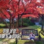 하이원 운암정 놀이마당 : 정선카페 추천, 식객 촬영지, 미미누주