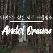 안돌오름 편백나무 숲 : 나만 알고 싶은 제주도 사진 명소