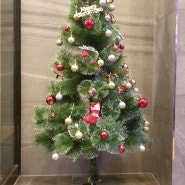 즐거운 크리스마스는 강남 역삼동 호텔세느에서 지내기~♥