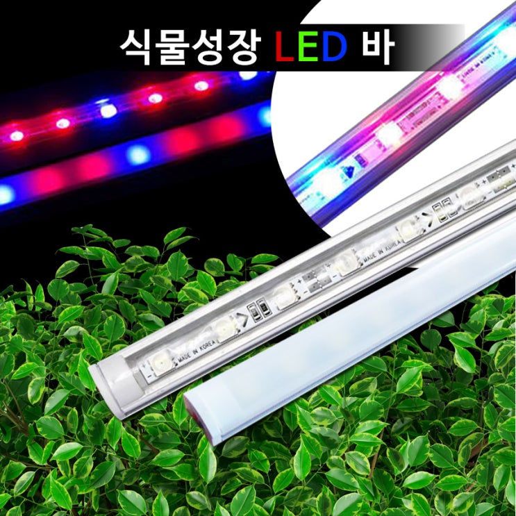식물성장 LED 바 : 네이버 블로그