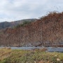 농업인 여러분 금산군농업기술센터와 함께해요~