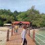코타키나발루 자유여행 + 호핑투어 사피섬에서 힐링♥