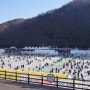 겨울엔 여기! 미리 보는 화천산천어축제!