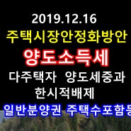 1216 부동산대책 양도소득세 일시적2주택 1년이내 전입요건 다주택자 양도소득세 중과배제 분양권 주택수 포함 장기보유특별공제