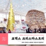 2019 서울 코엑스 별마당도서관 곰돌이가족 크리스마스 트리