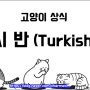 [ 고양이상식 ] 수영을 좋아하는 호수의 귀족, 터키시반 고양이 역사와 특징