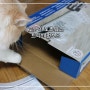 [고양이 용품/트릭시펀보드] 고양이 노즈워크로 유명한 먹이퍼즐장난감 트릭시펀보드 리뷰