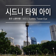 [호주 시드니] 신혼여행 / 시드니 타워 아이 Sydney Tower Eye