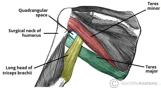 Triangular space - Wikipedia