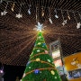 미리 크리스마스 데이트♥ 범일동 천하명당에서 로또, 남포동 아웃백, 트리축제!