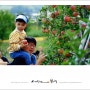 [충주 농뚜레일] 사과 향에서 행복을 찾고 사랑의 힘으로 조성된 정원을 거닐다 ... 여행작가 김용일