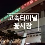 고속터미널 꽃시장 후기 (영업시간/ 주차)