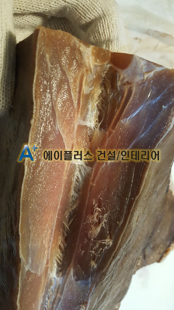 홍어 먹는법 (집에서 홍어 삭히기 10개월 삭힌 홍어 맛 - 흑산도 명품 홍어 암놈 9키로)삭힌 홍어손질 하는법,홍어삼합 먹는법 ...