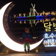 울산대공원 빛축제 보고왔어요