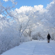 소백산 산행, 눈꽃, 상고대가 아름다운 죽령~연화봉 코스