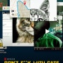 [★5][고양이는 건드리지마라: 인터넷킬러사냥][넷플릭스 다큐멘터리] 추천 콘텐츠 입니다.