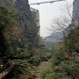 중국 장가계대협곡 트레킹 및 신천호 유람선