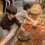 부산 실내동물원 :: 캐니언파크 부산 아이와 함께 가볼만한 곳!