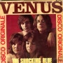 VENUS-shocking blue / 드럼커버(feat bass)