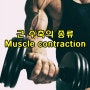 운동기능 해부학 - 근(육) 수축의 종류(활동) Muscle contraction(Action)