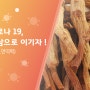 코로나 19, 홍삼으로 이기자!(feat.면역력)