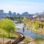 대전 한밭수목원 벚꽃 - 드라이브 슝슝 수목원 솔직후기