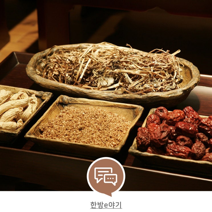 폐에 좋은 22가지 약재 : 네이버 블로그