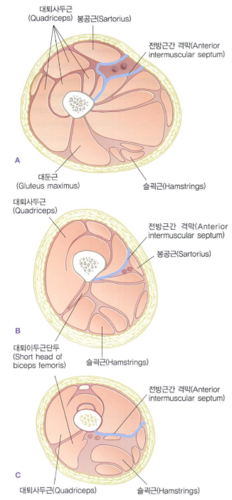 심부전방선(The Deep Front Line) Part II : 네이버 블로그