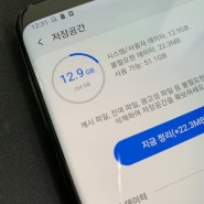 번개장터 갤럭시s9플러스 64G(lgu+)