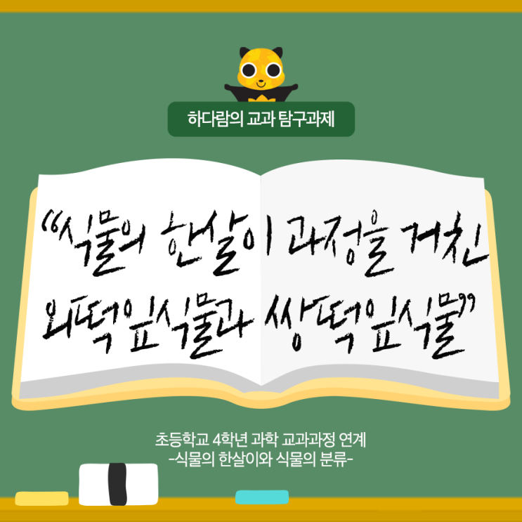 떡잎부터 다르다! 식물의 한살이 과정을 거친 외떡잎식물과 쌍떡잎식물 : 네이버 블로그