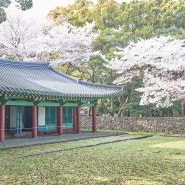 제주 삼성혈 봄느낌 물씬