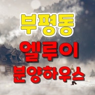 부평동 엘루이 주말방문가능 신축빌라 문제없어요!