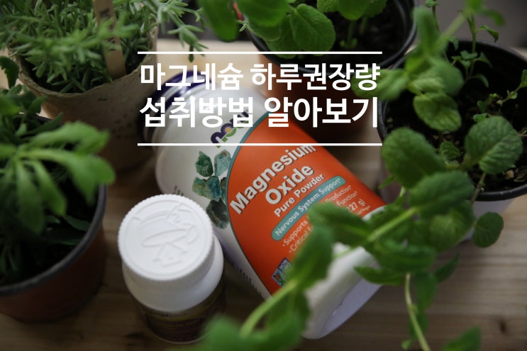 마그네슘 하루권장량과 효능(마그네슘 섭취시간, 글리신 마그네슘) : 네이버 블로그