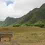 하와이 쥬라기공원 촬영지 '쿠알로아랜치' 승마코스(Kualoa Ranch)
