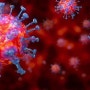 풀리는 코로나 비밀···콧속에 붙어있는 바이러스, 독감 25배