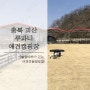중소형견전용 괴산 루파니애견캠핑장 / 개별울타리 OK