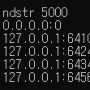 Windows 사용 중인 포트 확인 후 죽이기 (netstat 사용법)