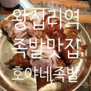 왕십리역맛집 _ 족발과 막국수가 정말 맛있는 '호야네족발'