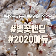 벚꽃앤딩 2020 아듀