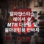 Alpinestars / 알파인스타스 레이서 숏 [ MTB 다운힐 및 올마운틴 보호용 반바지 ]