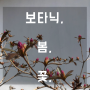 [보타닉] 봄, 꽃, 보타닉
