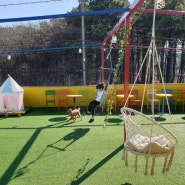 강아지 애견카페 넓은 운동장이 있는 인천 개떼놀이터