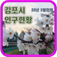 김포시 인구현황 [20년 3월현재]