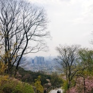 남산 등산하기, 남산공원 :: 남산타워 벚꽃, 남산타워 데이트, 서울역에서 남산타워 까지걷기