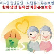 낸돈 돌려받는 보험 (이거 하나면 평생OK)