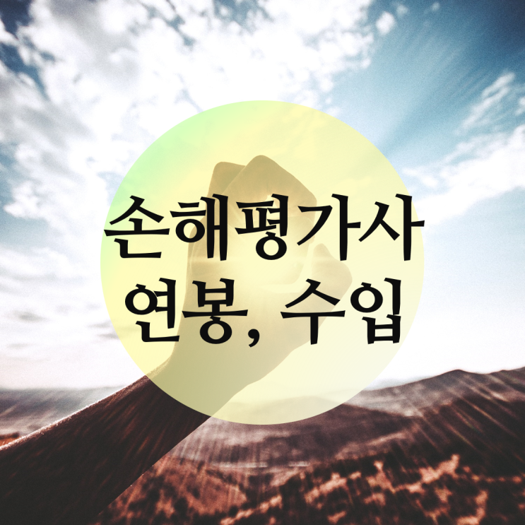 손해평가사 연봉 수입, 프리랜서 제2의직업 도전 : 네이버 블로그
