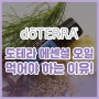 [숙이언니의 아로마카페] ★도테라에센셜오일★ 음식과 같이 먹어야 하는 이유!