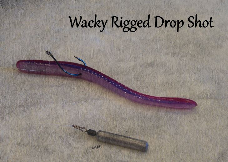 루어채비 - 와키 리그드 드랍 샷 (Wacky Rigged Drop Shot) : 네이버 블로그