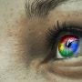 (저품질 투병기 #3) 구글 vs 네이버 ? 저품질 탈출은 구글, 네이버 대결에 달려있다